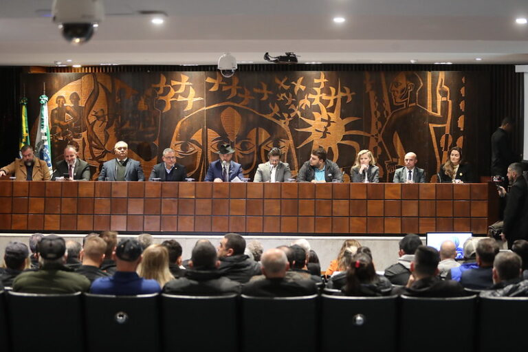 Audiência debate possíveis impactos do decreto federal que restringe o uso de armas e munições